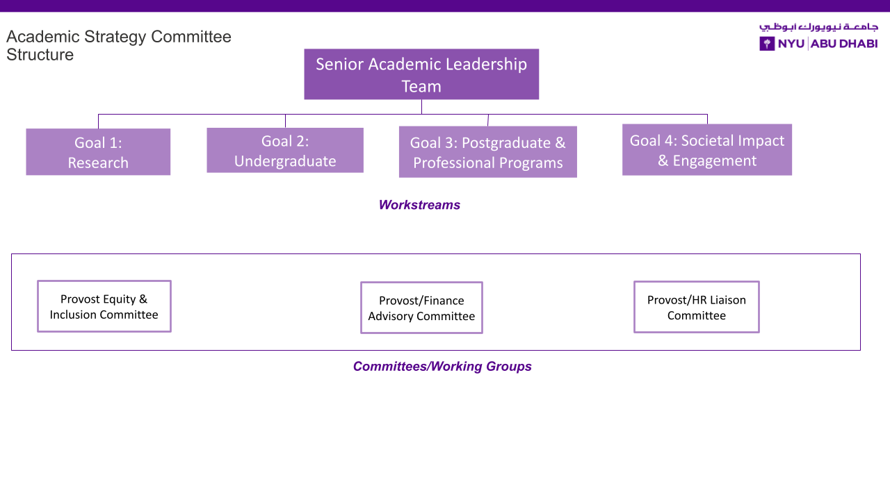 Academic Strategy Committee Structure: Senior Academic Leadership Team: Workstreams: Goal 1: Research | Goal 2: Undergraduate | Goal 3: Postgraduate and Professional Programs | Goal 4: Societal Impact and Engagement Committees/Working Groups: Provost Equity and Inclusion Committee | Provost-Finance Advisory Committee | Provost-HR Liaison Committee