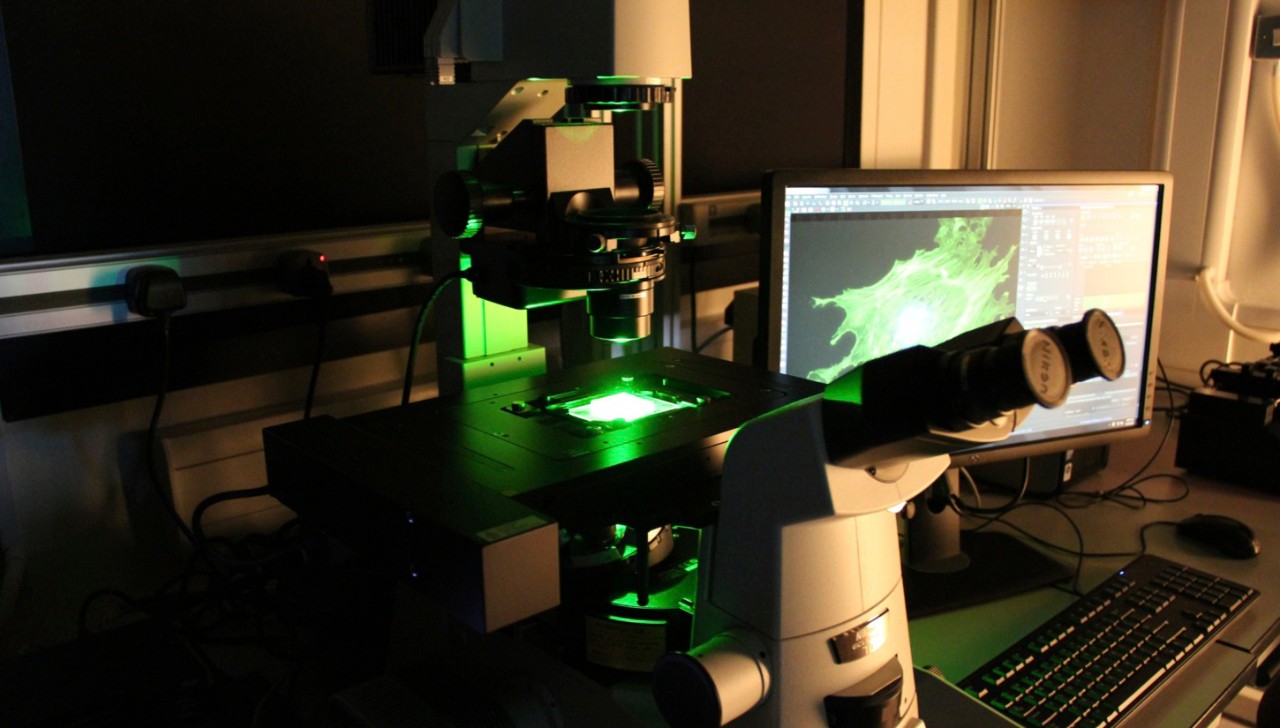 Nikon Inverted Fluorescence Microscope Ti-E with Fully Motorized Stage