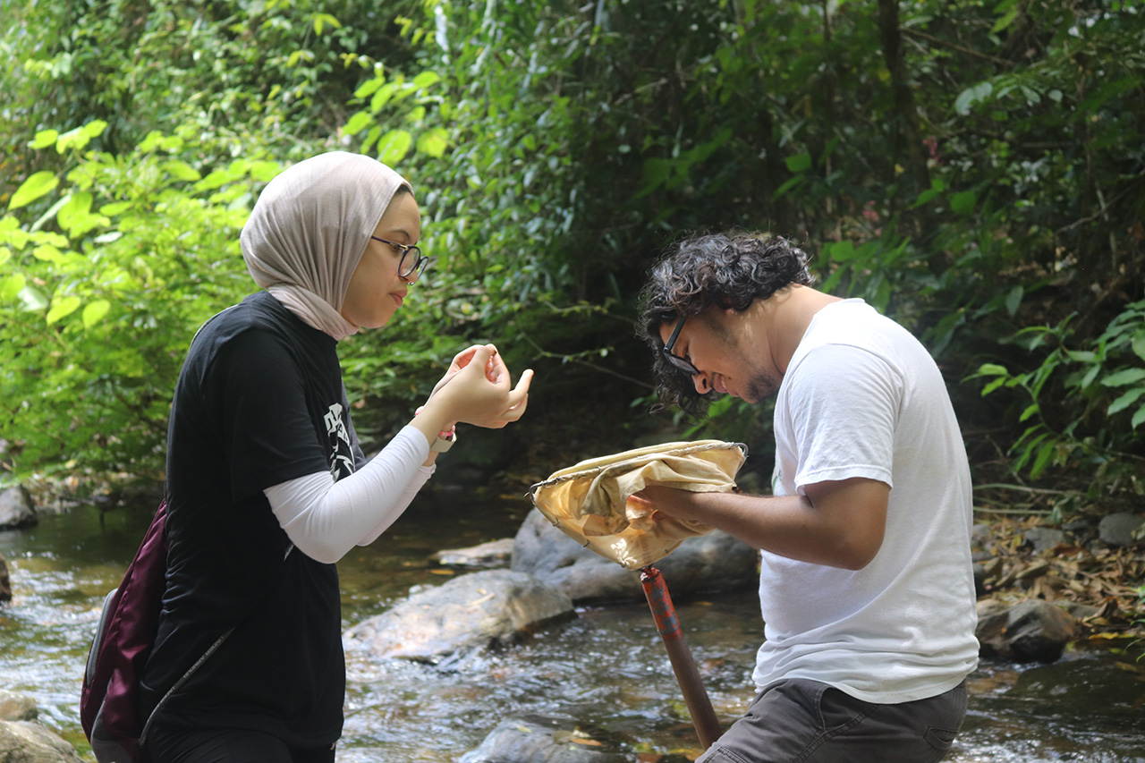 Ribbons of Blue: Urbanization on the Coastal Fringe