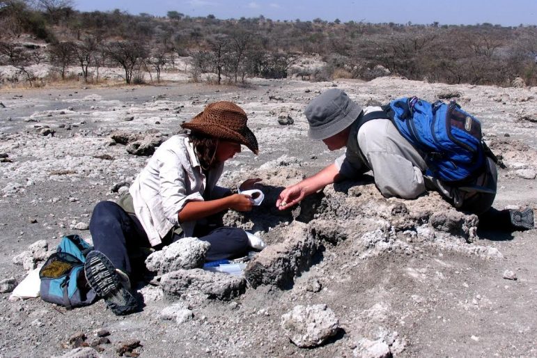 In Search of Human Origins: A Paleontologist’s Perspective