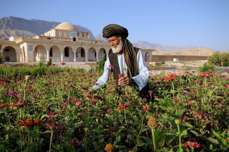 Pride & Future: Cultural Heritage in Afghanistan