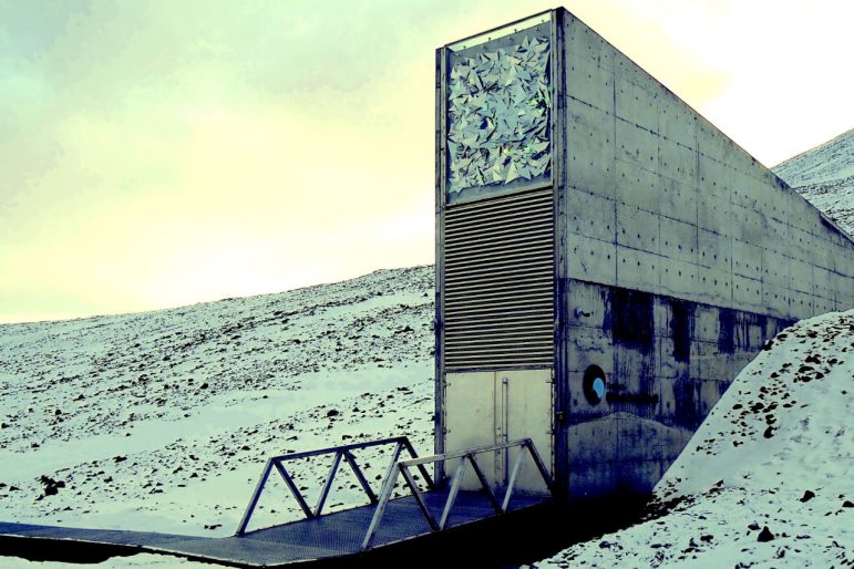 What Goes into a Doomsday Vault? An Anthropology of/for Strange Times