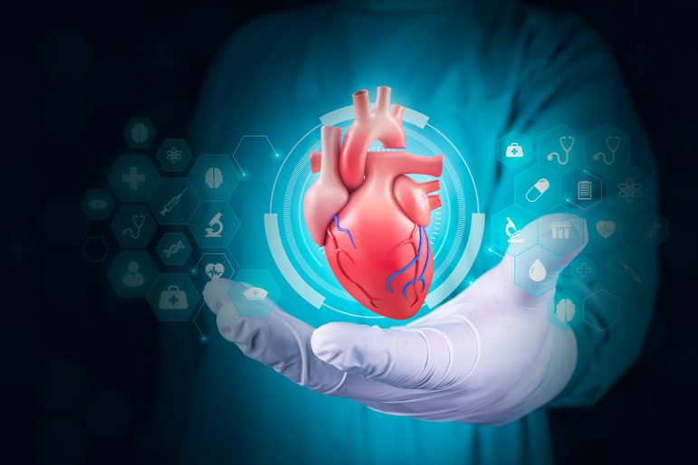 Engineering Your Heart’s Health