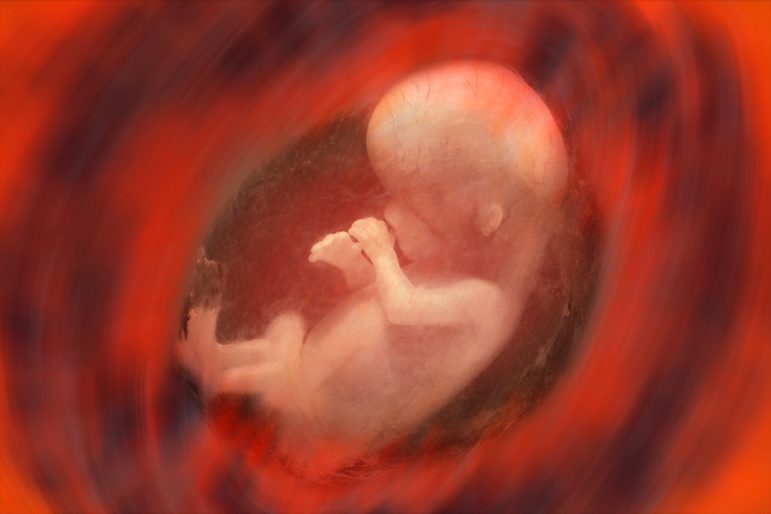 The (Modest) Triumph of the Embryo
