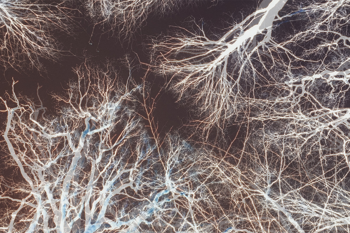 From Ethnography to Sensory Cinema