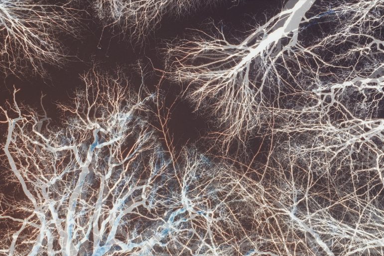From Ethnography to Sensory Cinema