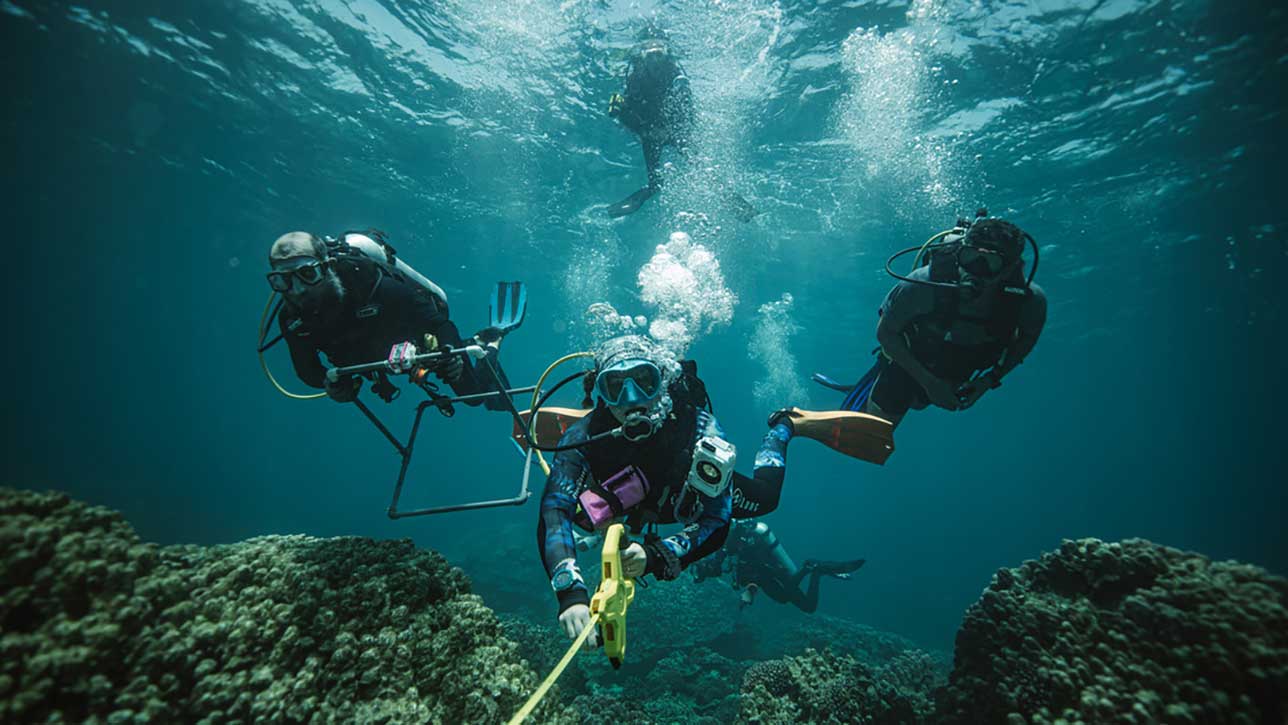 Shaping a Sustainable Future Through Science, Data, and Discovery