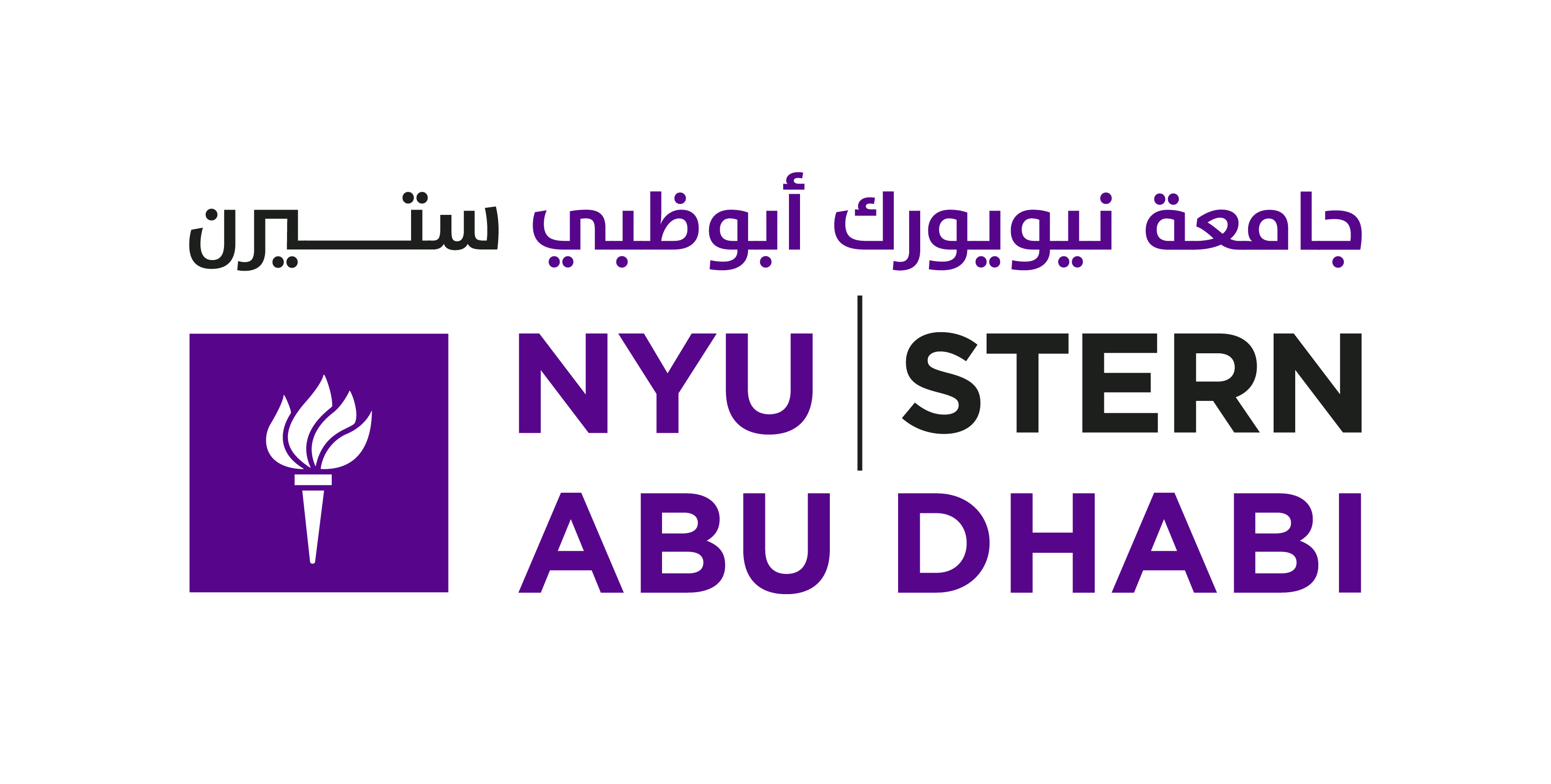 Stern at NYUAD