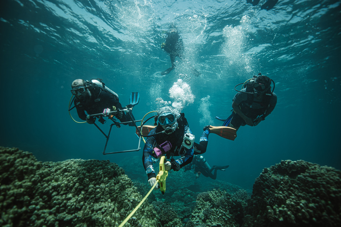 Shaping a Sustainable Future Through Science, Data, and Discovery