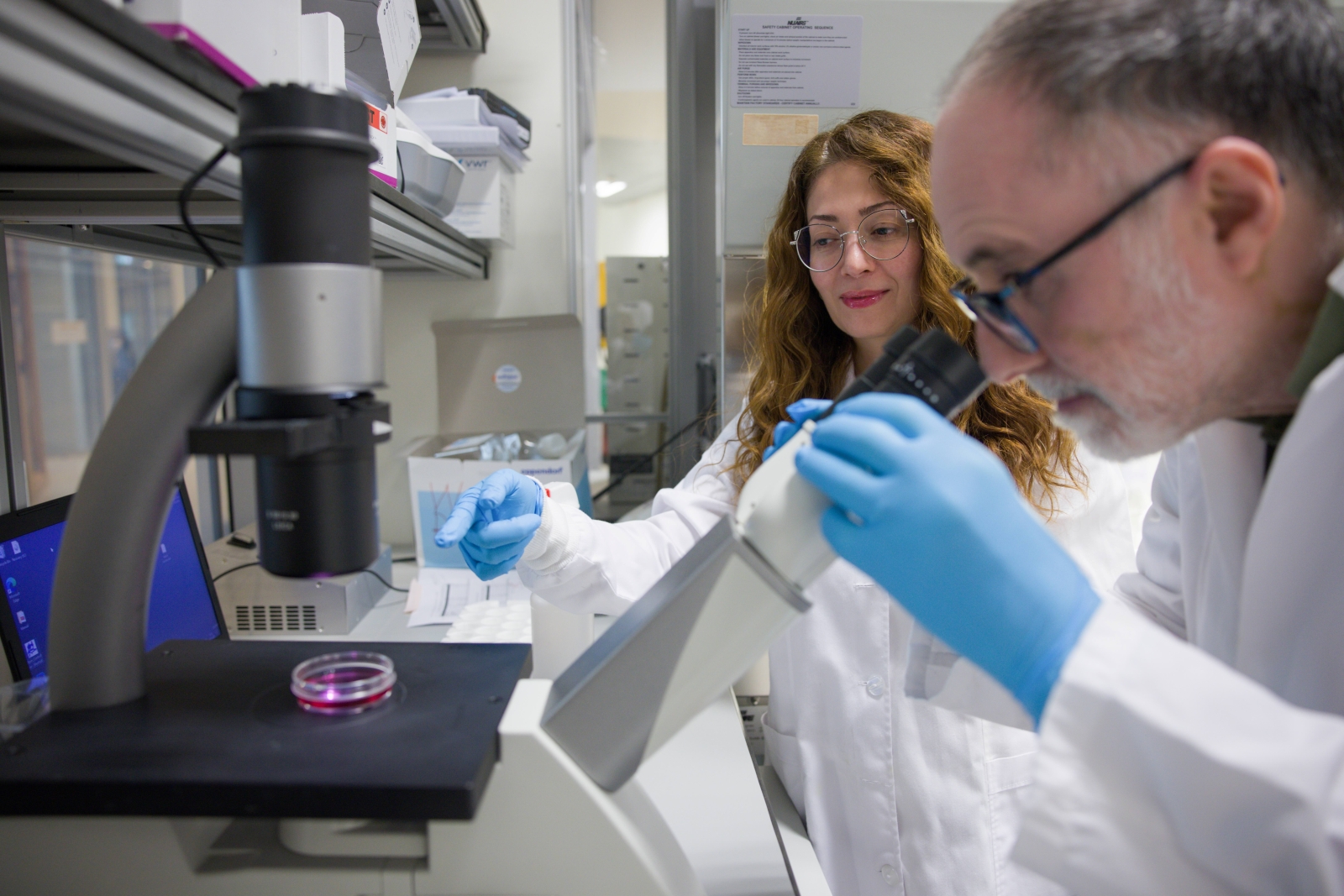 New NYU Abu Dhabi Study Reveals How DNA Organization in Cells Drives Obesity and Metabolic Health