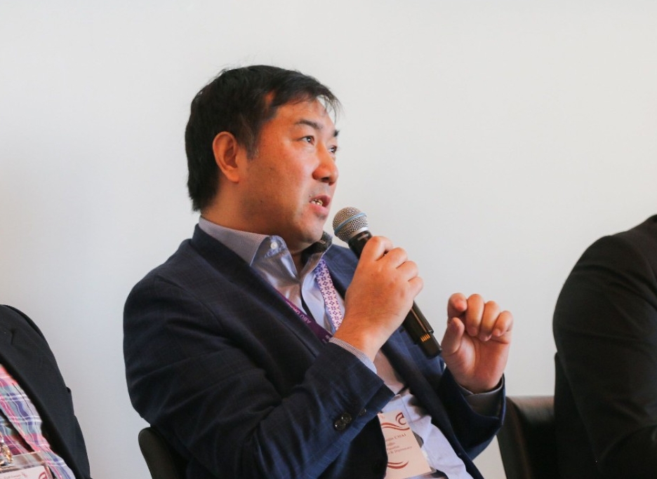 Professor Shaojin Chai speaking during the panel