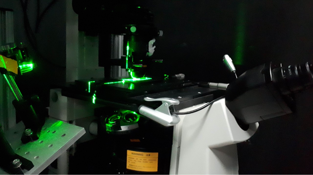 The researchers used high resolution microscopy and laser optical tweezers to study motor proteins.
