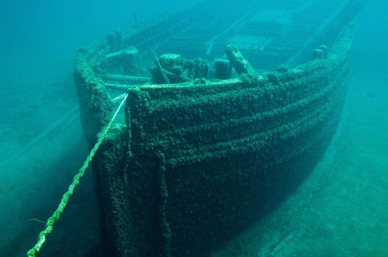 A shipwreck fully covered by fouling algae and other organisms - Courtesy National Oceanic and Atmospheric Administration (NOAA)