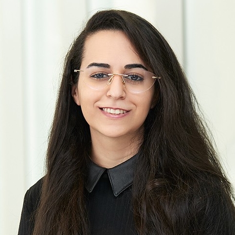 Marieh Bassam Al-Handawi, PhD Candidate in Chemistry 