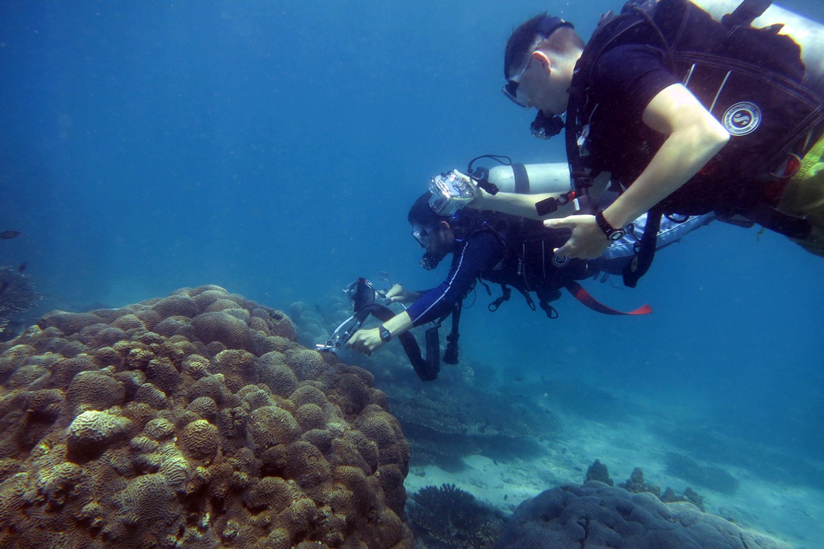 Edward Smith, a postdoctoral associate at NYU Abu Dhabi's Marine Biology Laboratory, studies coral biology; his main goal is to discover what allows Gulf coral to survive under extreme conditions that would kill other coral.