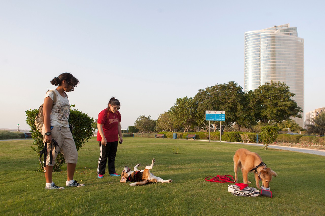 Children and their dogs at a park in corniche Abu Dhabi.