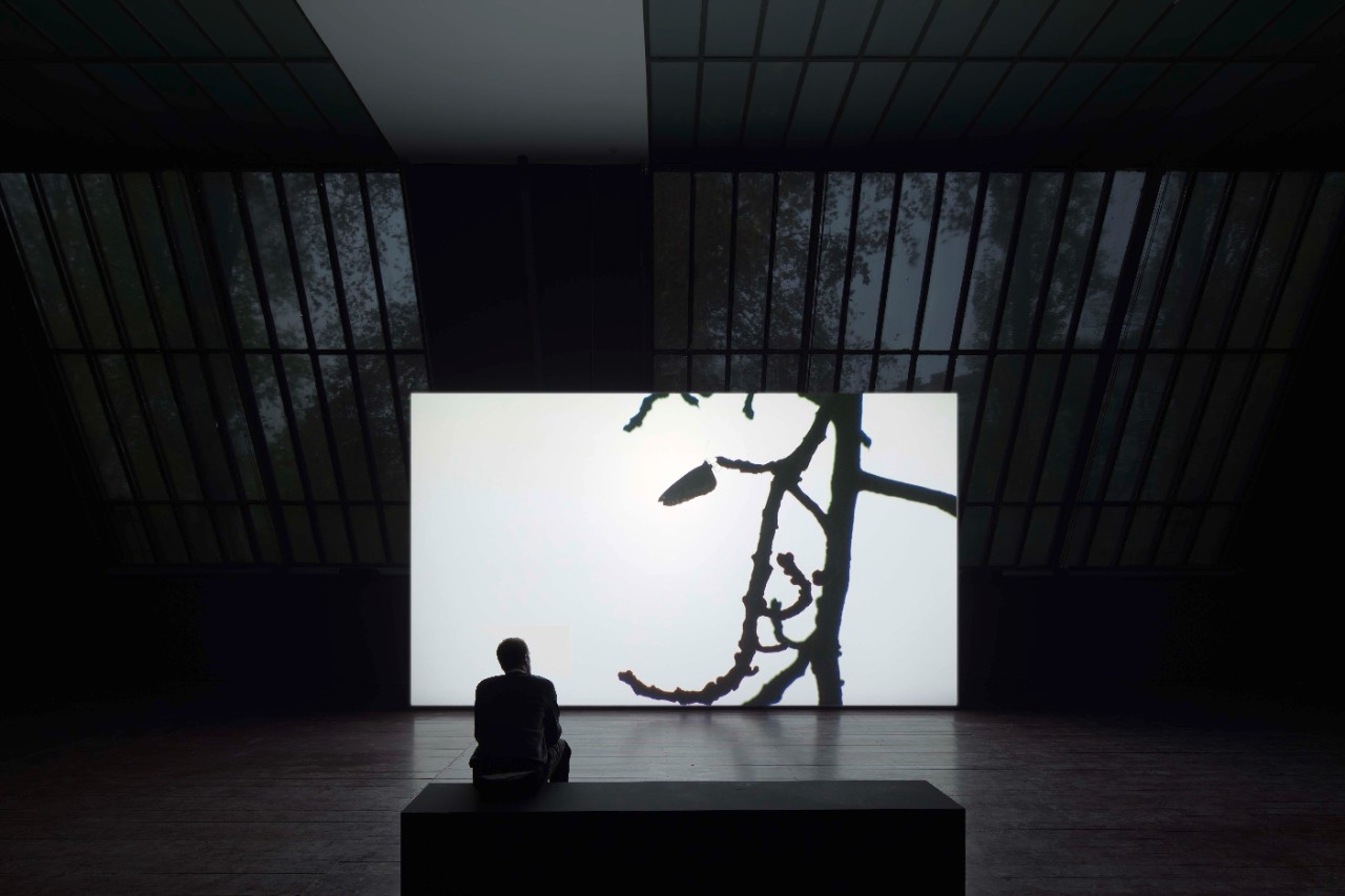 Installation view: Amar Kanwar: The Sovereign Forest, Thyssen-Bornemisza Art Contemporary, 2014
