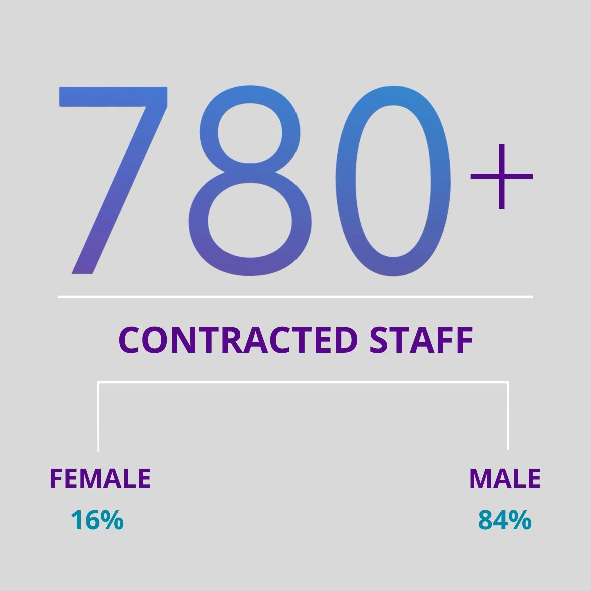 780+ Contracted Staff: Female, 16%; Male, 84%