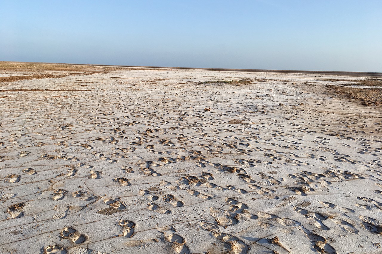 Footprints of migrants walking along Djibouti's northern coast prior to crossing the Red Sea to reach Yemen, January 2019 (photograph by Nathalie Peutz)