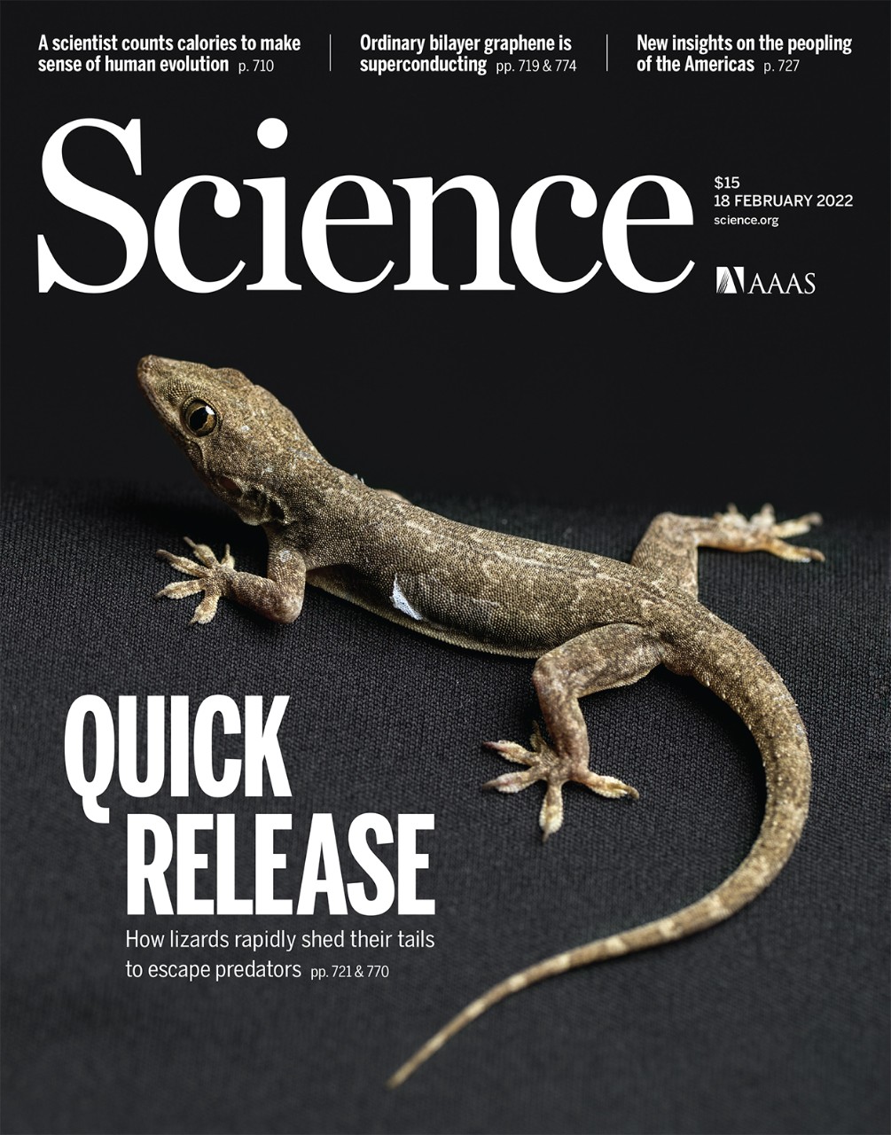 Science magazine article - Rafael Song