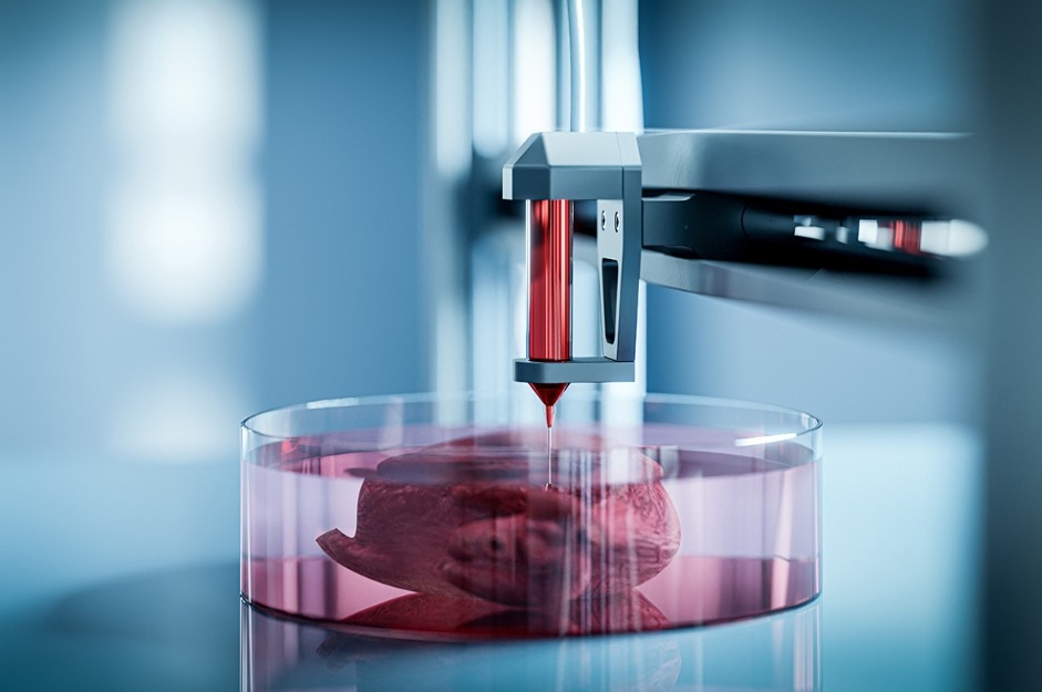 1st UAE Biomaterials, Biofabrication and Bioengineering Conference