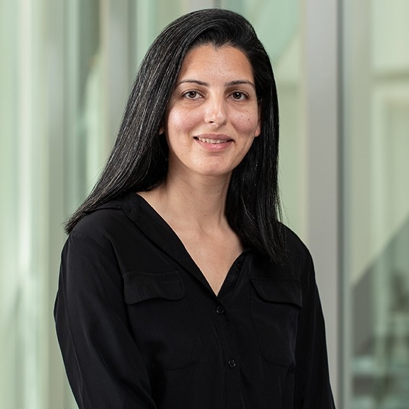 Samreen Malik, Associate Professor of Economics