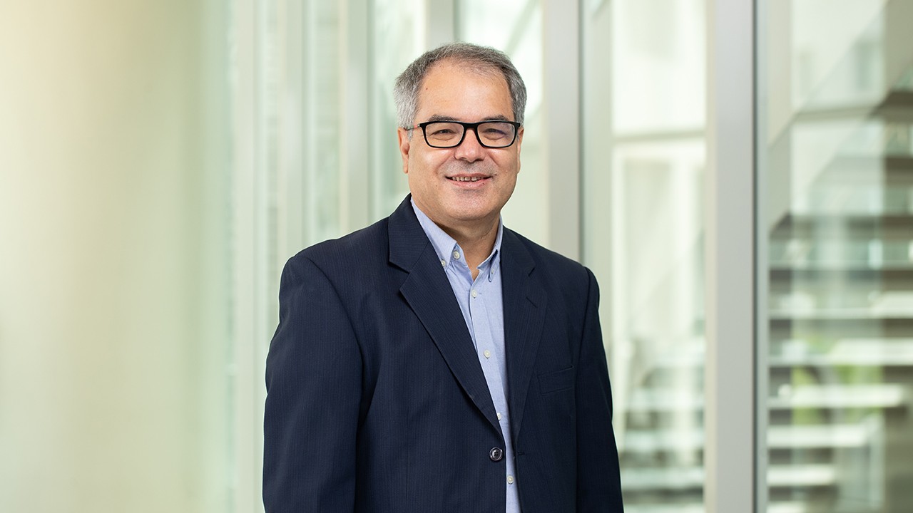 Abdul Noury, Associate Professor of Political Science