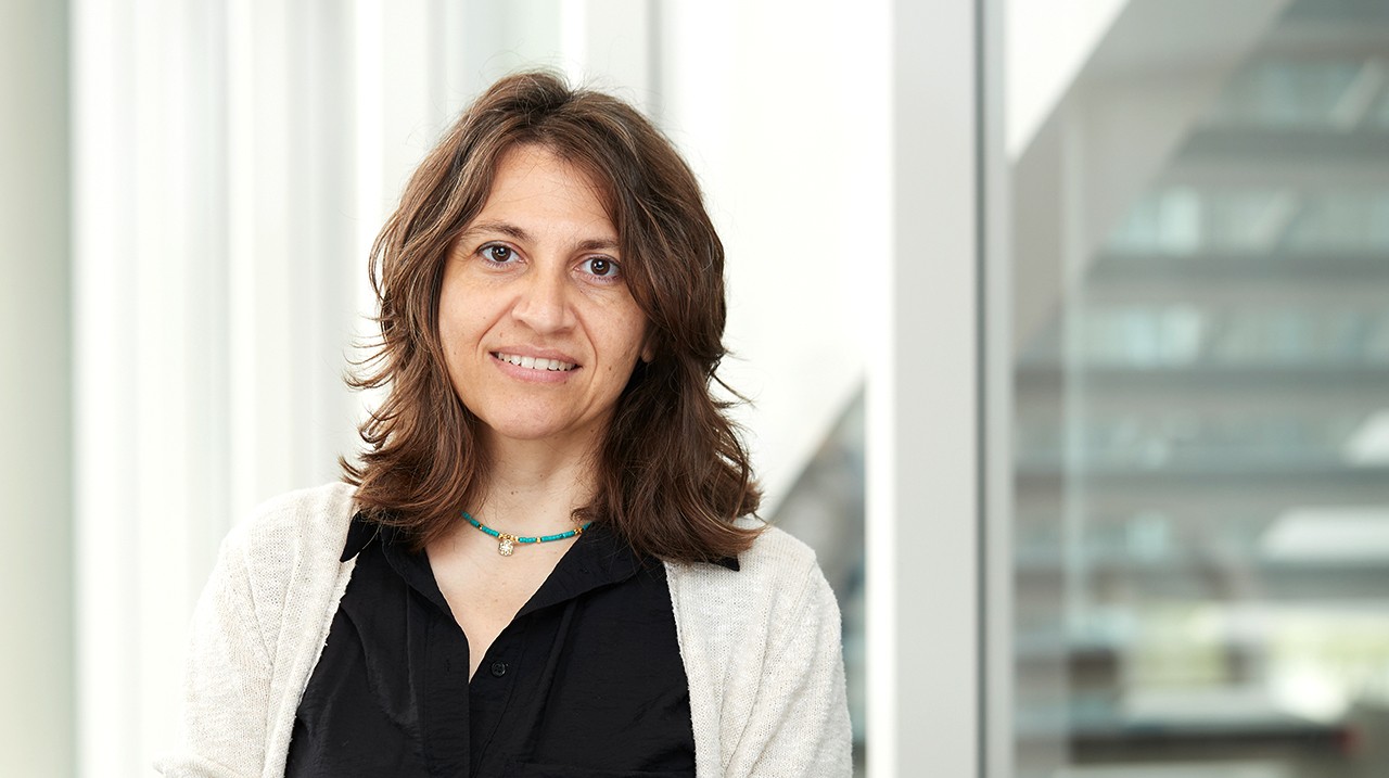 Rana Tomaira, Research Scientist and Lecturer 