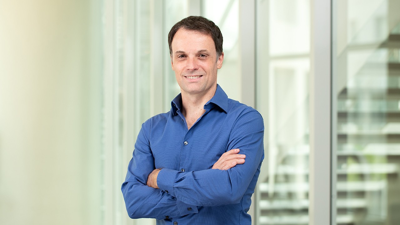 Jean Imbs, Professor of Economics