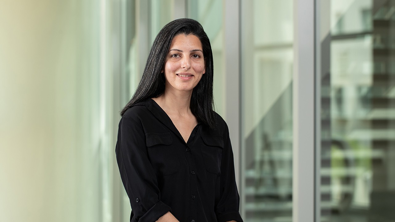 Samreen Malik, Associate Professor of Economics