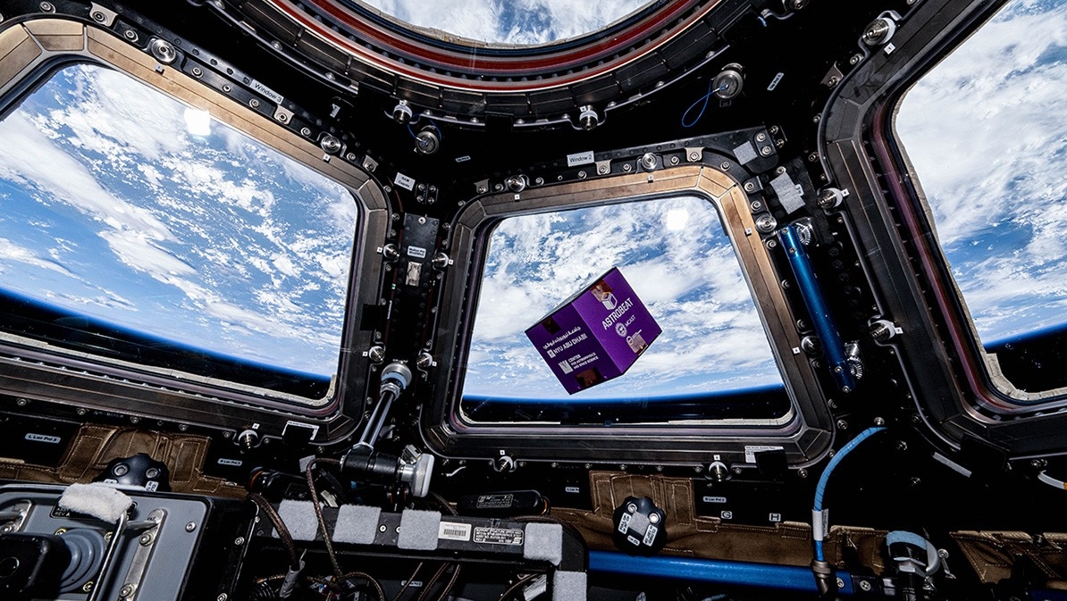 NYU Abu Dhabi Community Reflect on a Milestone as Their Music Streams from Space