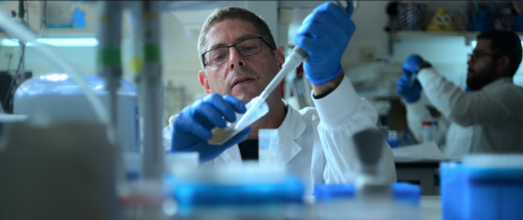 Global PhD Student Fellowship in Chemistry