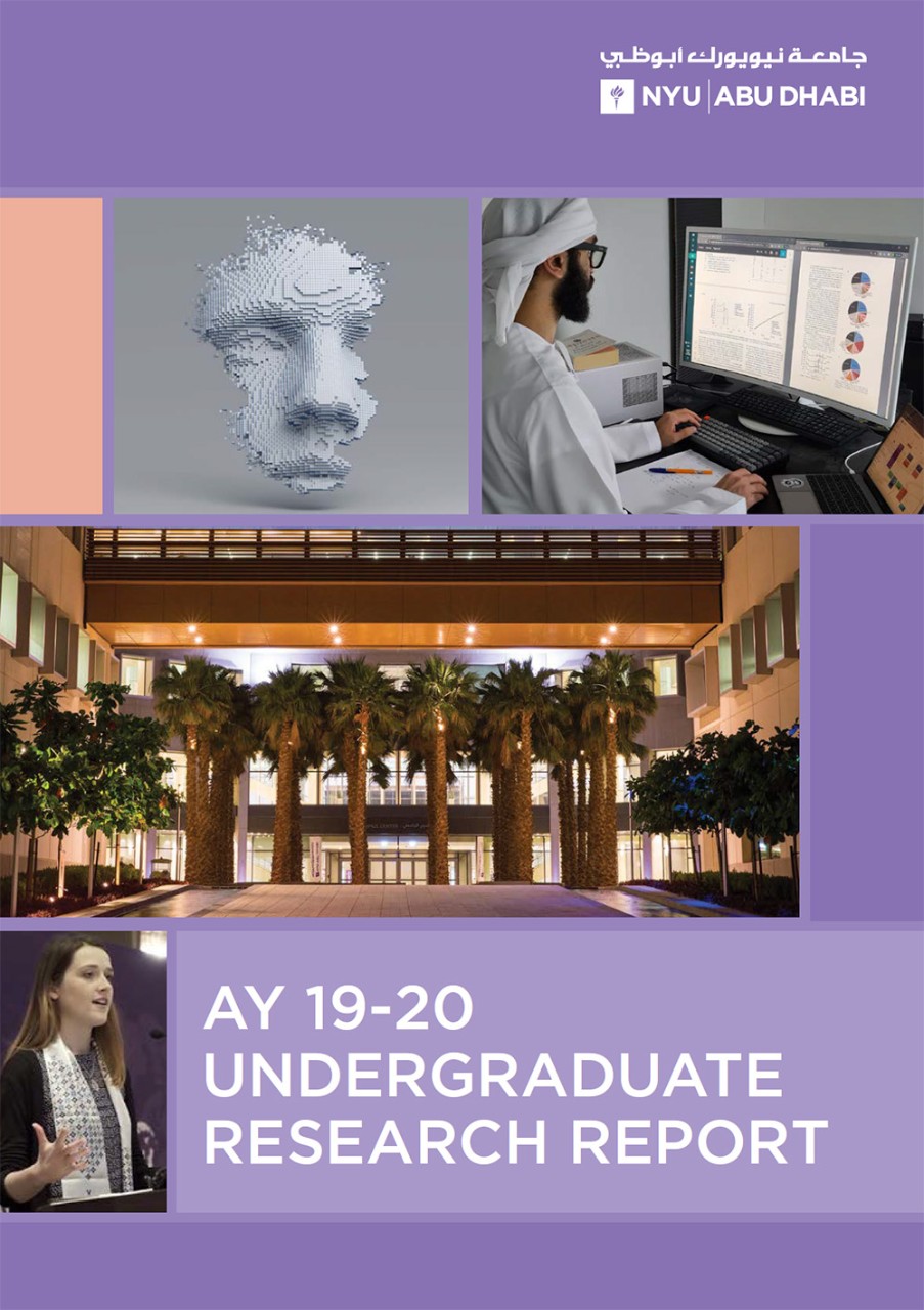 Undergraduate Research Report AY 2019-2020