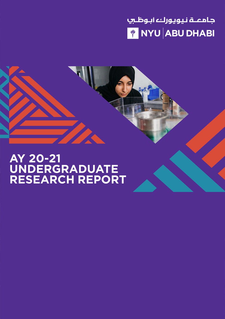 Undergraduate Research Report AY 2020-2021