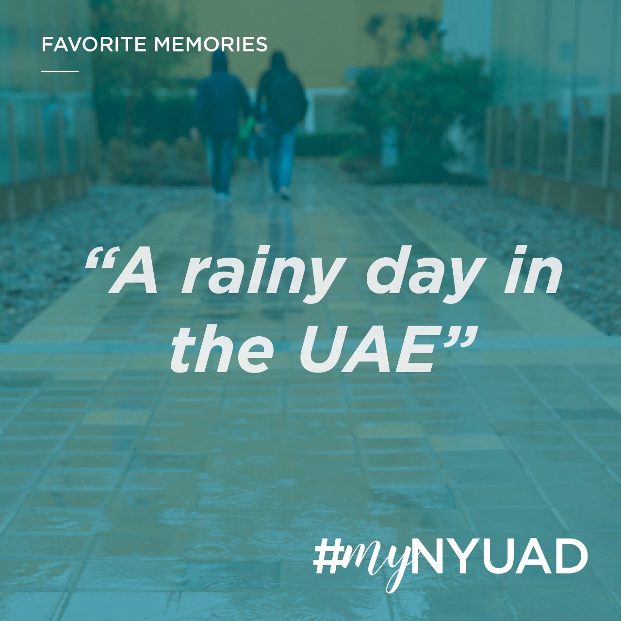 Quote: A rainy day in the UAE. #myNYUAD