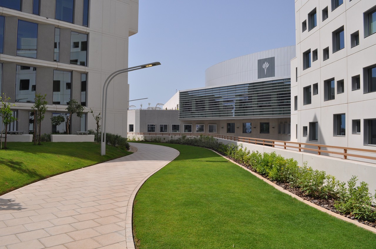 NYU Abu Dhabi Saadiyat campus