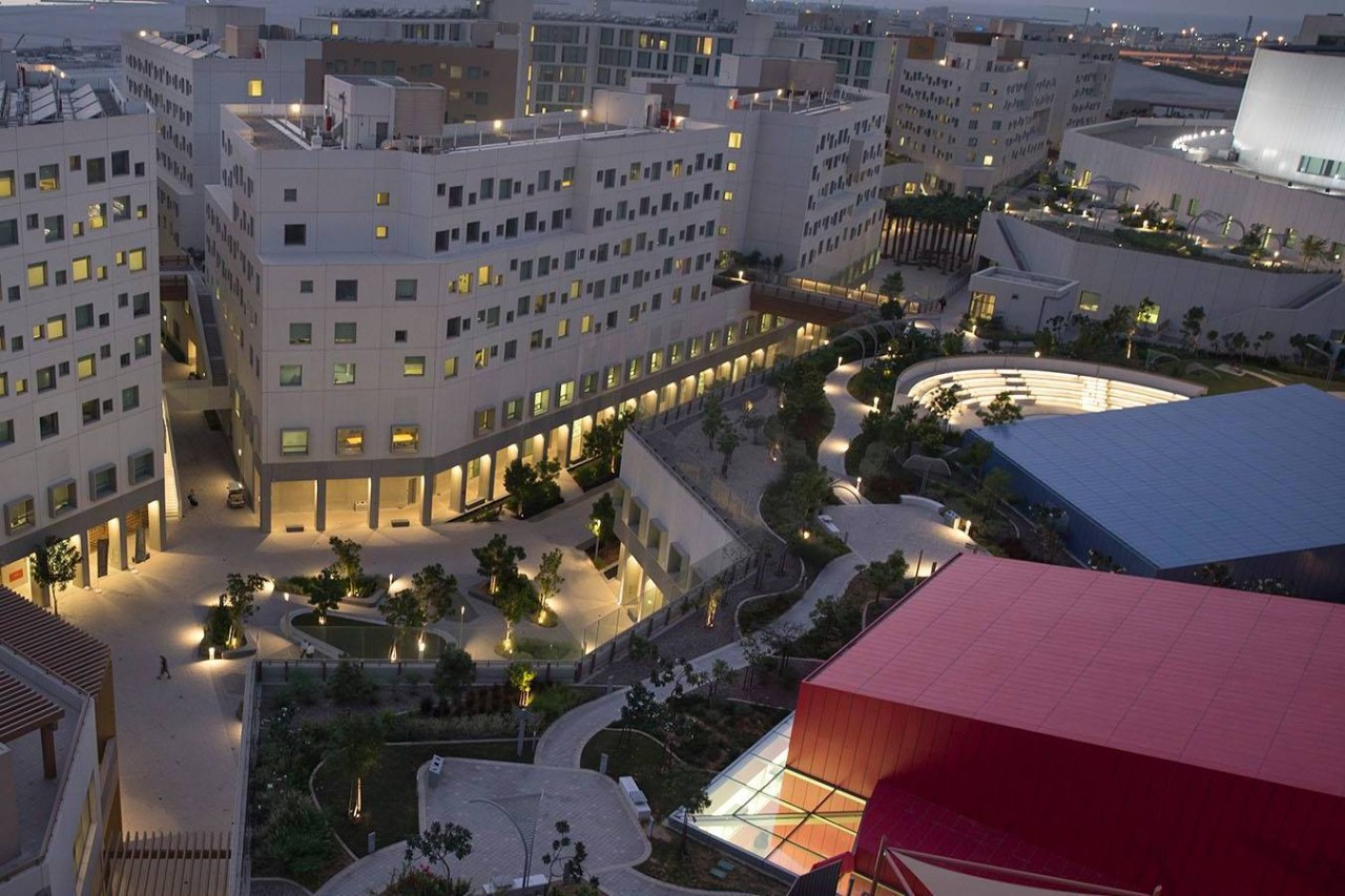 A Conversation in Memory of Hilary Ballon: The Founding of NYU Abu Dhabi 