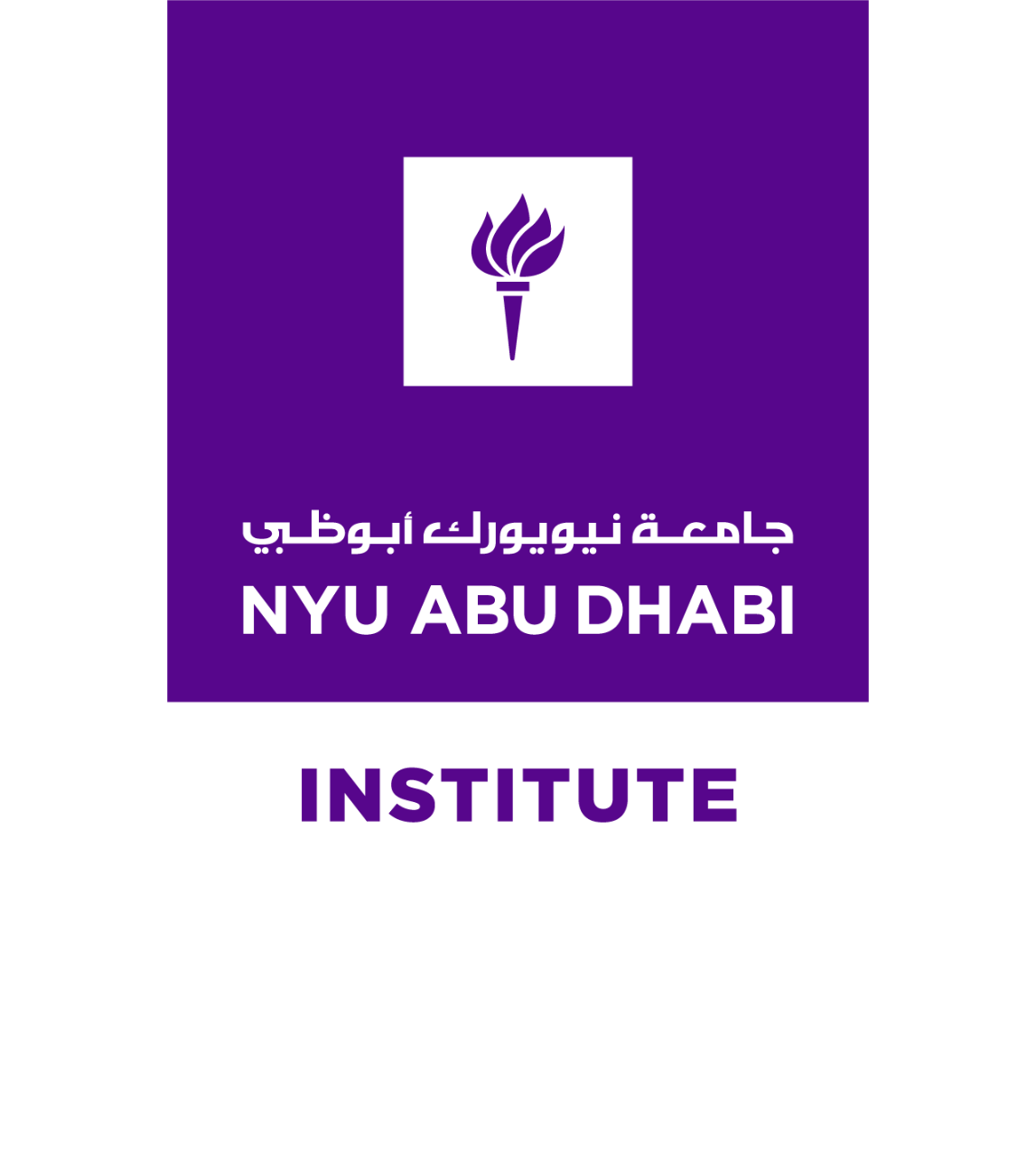 NYU Abu Dhabi Institute