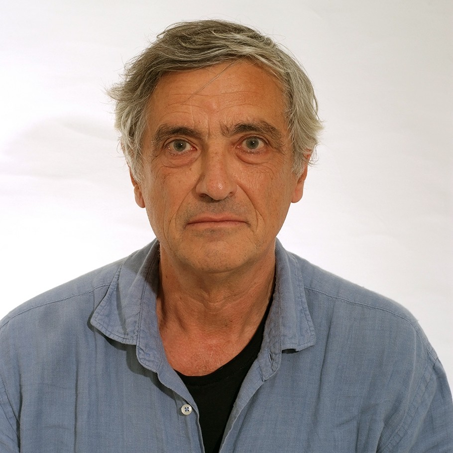 Michele Pavon, Professor of Practice in Mathematics