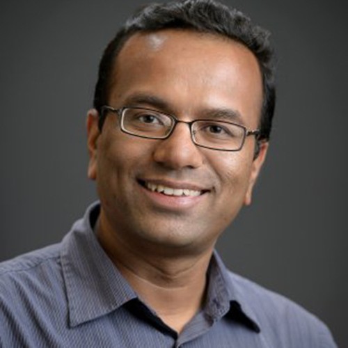 Pankaj Patel, Visiting Professor of Business, Organizations and Society