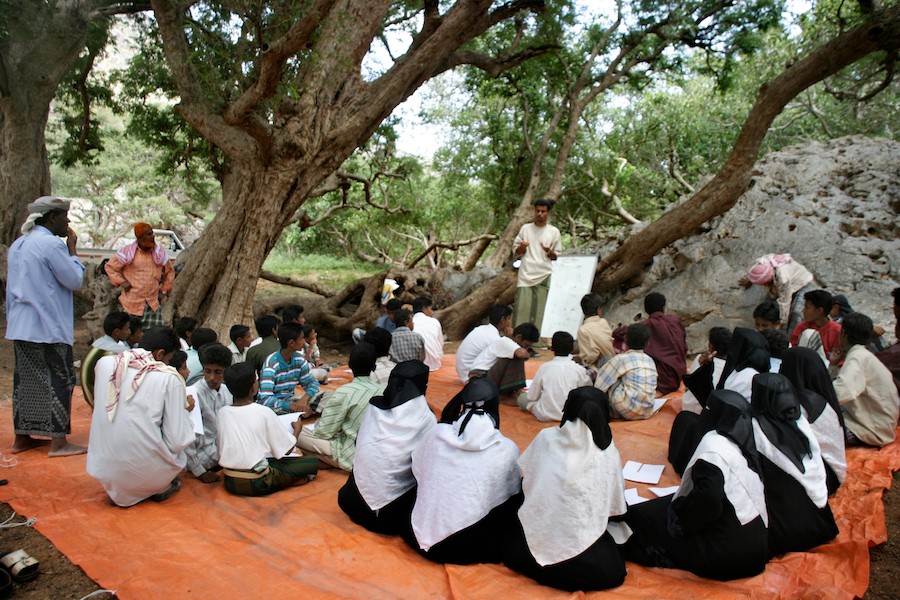 High school students in Socotra receive environmental awareness lessons. Nathalie Peutz