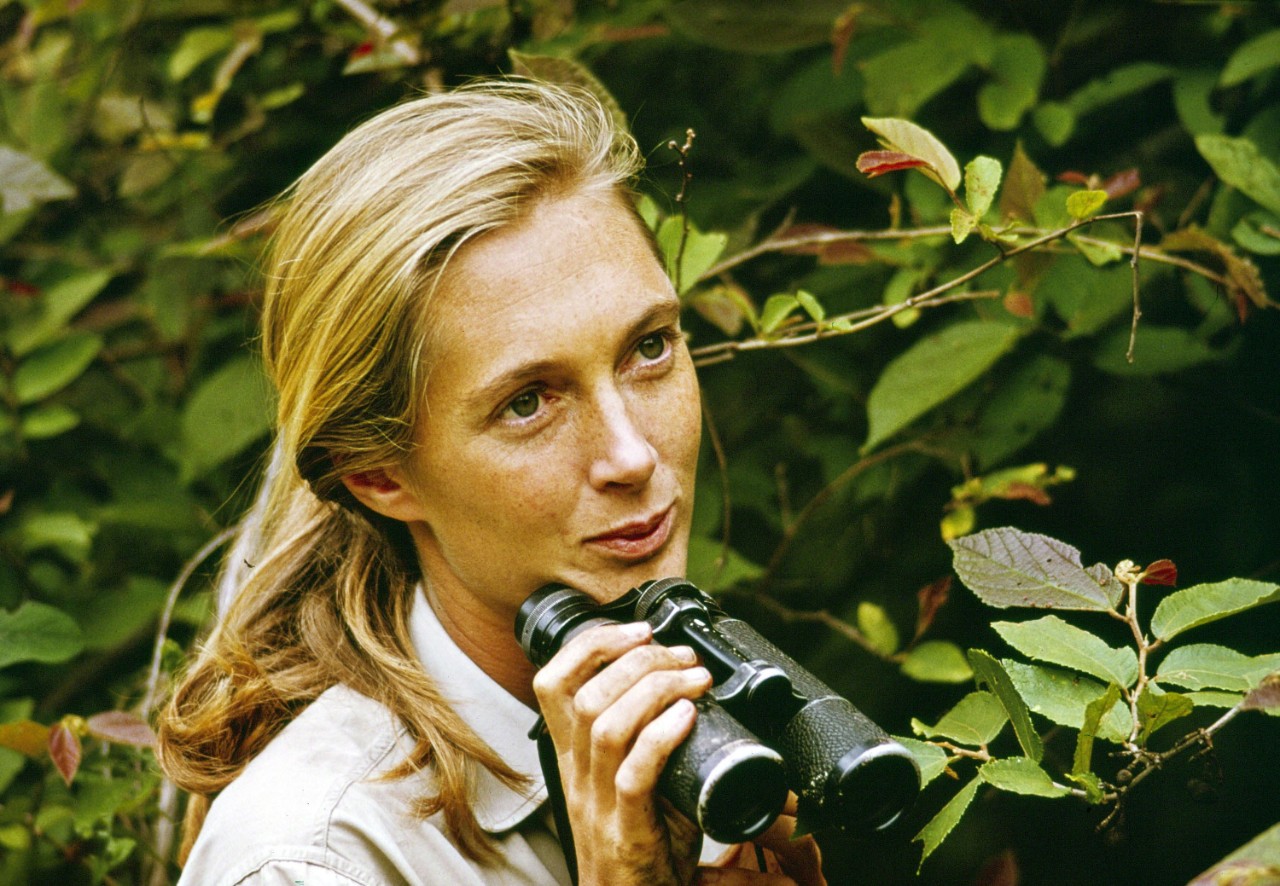Jane Goodall in Imagine Science