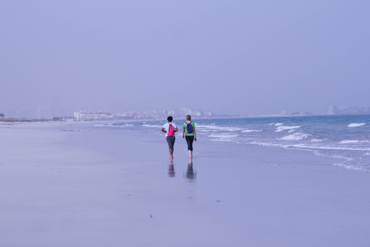 NYU Abu Dhabi students patrol Saadiyat Beach.