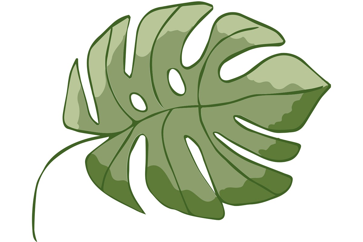 Graphic design of a leaf.