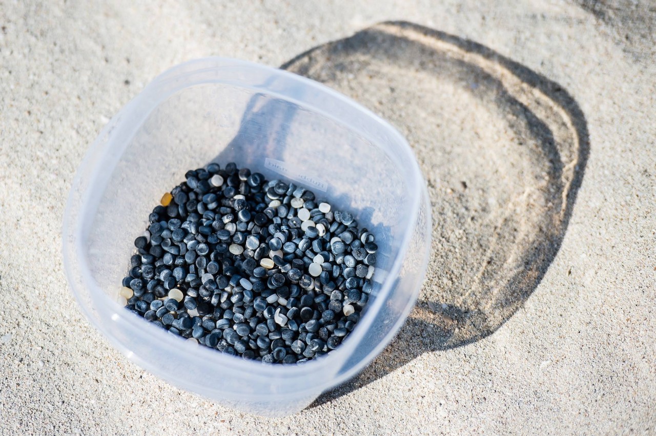 A collection of nurdles found along the beach on Saadiyat island, Abu Dhabi. 