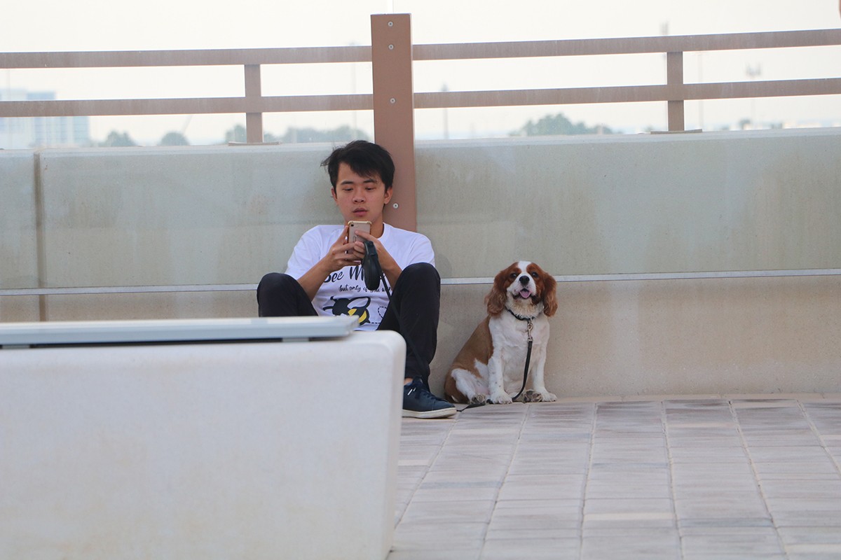 Doggy Destress Event