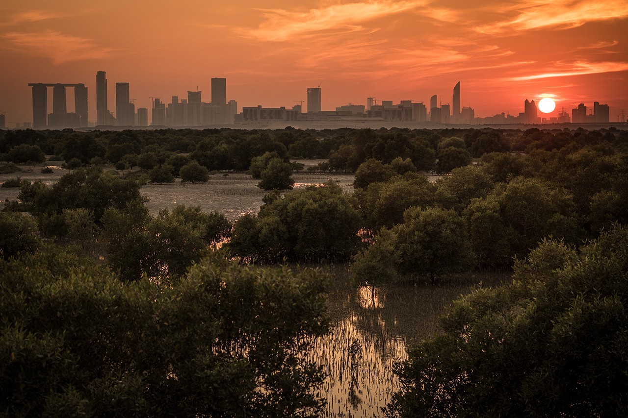 Arabian Center for Climate and Environmental ScienceS (ACCESS)