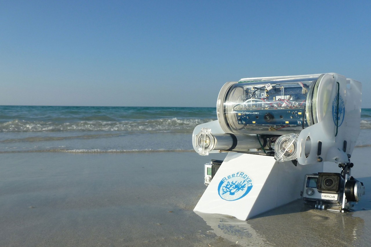 ReefRover, a drone built by NYUAD students, goes underwater to monitor conditions in the Gulf coral reefs. It's a safer, cheaper alternative to human diving.