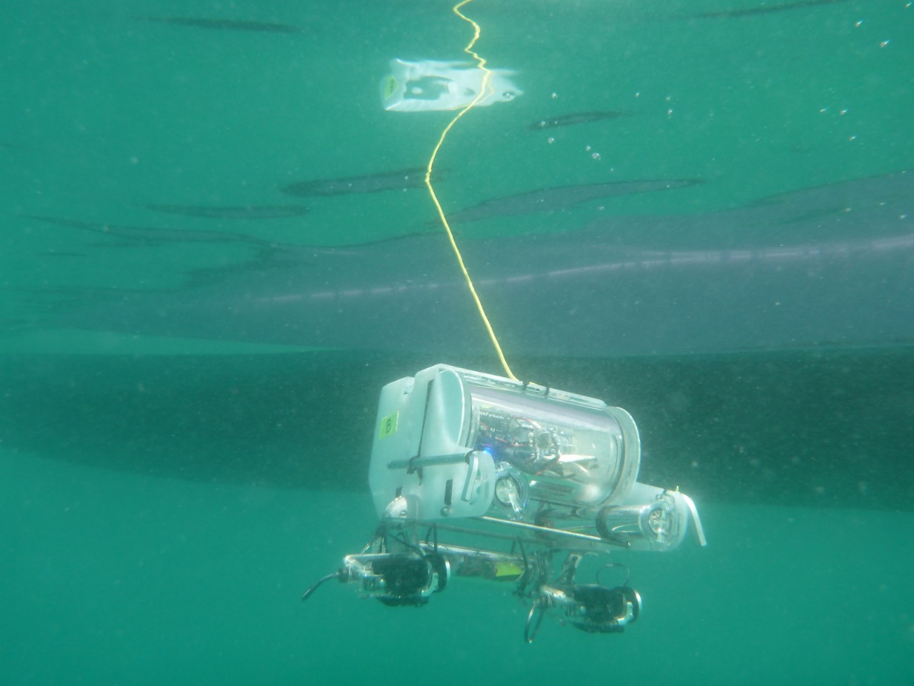NYUAD students built an underwater drone to check on the health of Gulf coral reefs