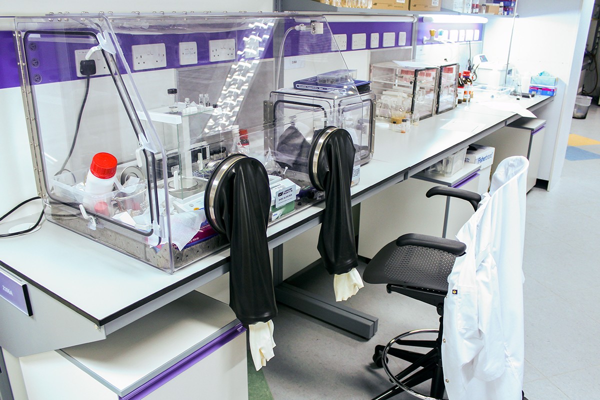 Inside the the Trabolsi Research Group chemistry lab in the Experimental Research Building at NYUAD.